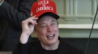 71% of Democrats Want Elon Musk in Jail