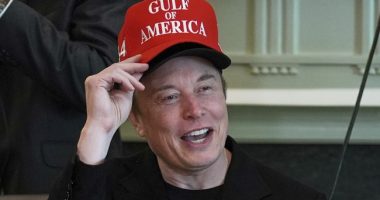 71% of Democrats Want Elon Musk in Jail