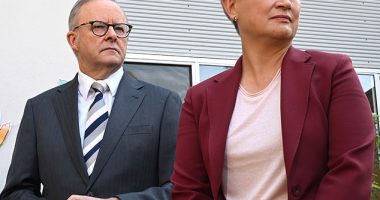 Call me PM? Penny Wong topped voters' list of potential Labor candidates for Prime Minister, if Anthony Albanese were to step down (together, above)
