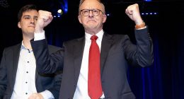 Labor claims victory in Griffith as Greens MP Max Chandler-Mather faces a shock swing against him