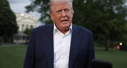 Australia Senate, Adam Bandt election results LIVE: Donald Trump fires off humiliating one-sentence comment about Peter Dutton - as Anthony Albanese speaks to US President
