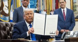 President Trump (pictured) says his plan will cut US drug prices by 30 - 80 per cent