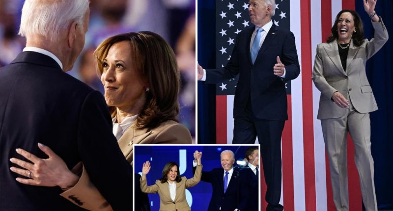 Biden ‘totally f–ked’ Kamala Harris’ 2024 election chances by refusing to drop out sooner: top adviser