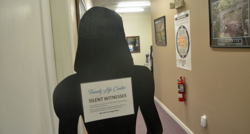 Bill to Help Domestic Violence Victims Dies