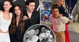 Brooklyn Beckham, wife Nicola Peltz plant firm roots in US amid family rift: report