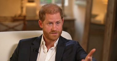 Buckingham Palace releases statement after Prince Harry's bombshell interview