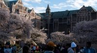 Building Occupation Leads to Arrests at University of Washington