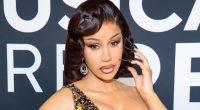 Celebs Whose Careers Skyrocketed After Plastic Surgery