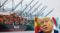 Chinese freight ships carrying 12K containers of goods arrive in US for first time since Trump unveiled 145% tariffs