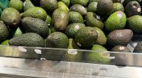 Shoppers are flocking to supermarkets to stock up on the much-loved Hass avocados after a less popular season of the Shepard variety