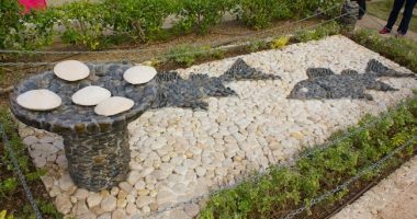 Come To The Truth And Follow: Sunday Reflection