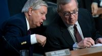 Consequences of Repealing Section 230, the ‘Law That Built the Internet’