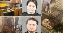 Couple jailed after baby found living in ‘absolutely disgusting’ home with rotting goat carcass, dozens of animals