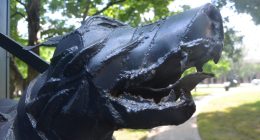 Dangerous Dog Owners Must Now Have $100,000 Liability Insurance: New Law