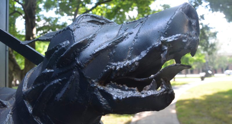 Dangerous Dog Owners Must Now Have $100,000 Liability Insurance: New Law