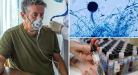 Dangerous fungus could spread to parts of US, researchers claim