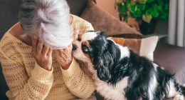 Dear Abby: I’m in love with the much younger man I dog sit for