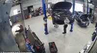 A deer (seen left) broke into a mechanic workshop in Melbourne's east on Monday