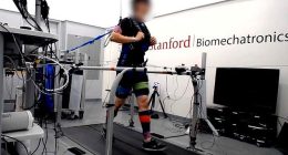 Detail in how young people walk that predicts if they'll suffer a deadly health problem in your 60s, experts reveal