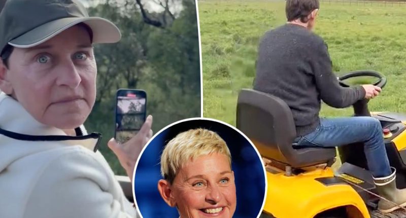 Ellen DeGeneres gives rare glimpse of brunette hair while doing common household chore for first time
