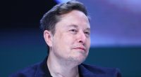 Elon Musk Accidentally Let It Slip His Bromance With Trump Is On The Rocks