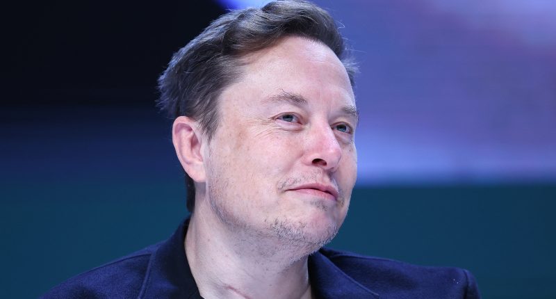 Elon Musk Accidentally Let It Slip His Bromance With Trump Is On The Rocks