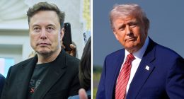 Elon Musk announces departure from Trump administration as 130-day role ends