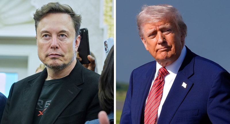 Elon Musk announces departure from Trump administration as 130-day role ends