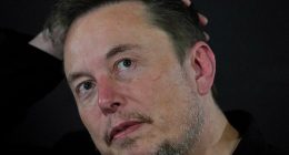 Elon Musk has been told that a new Telsa factory was not welcome in southern Adelaide