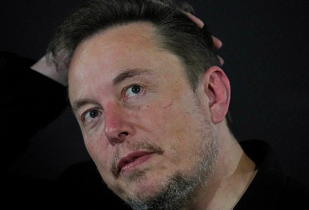 Elon Musk has been told that a new Telsa factory was not welcome in southern Adelaide