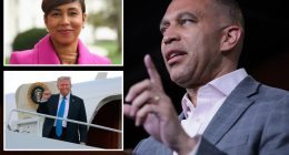 Ex-Pelosi aide accuses Hakeem Jeffries of ‘squandering’ anti-Trump opportunities in stunning rebuke