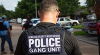 Expert Highlights Illegal Alien Gang’s Threat to Rural Americans