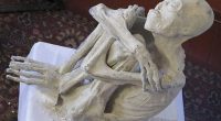 The team has released a new analysis detailing how two of the mummies, known as Maria (pictured) and Montserrat, may have died more than 1,200 years ago.