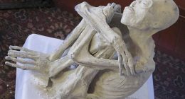 The team has released a new analysis detailing how two of the mummies, known as Maria (pictured) and Montserrat, may have died more than 1,200 years ago.