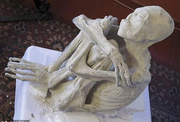 The team has released a new analysis detailing how two of the mummies, known as Maria (pictured) and Montserrat, may have died more than 1,200 years ago.