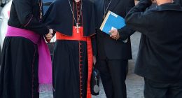 In 2013, child abuse protestor Ralph Napierski (left, having a picture with Cardinal Sergio Sebiastiana outside the Vatican) posed as a cardinal in an attempt to disrupt that year's conclave. He was only rumbled when guards noticed his robes were too short and his fascia (sash) was pink rather than red