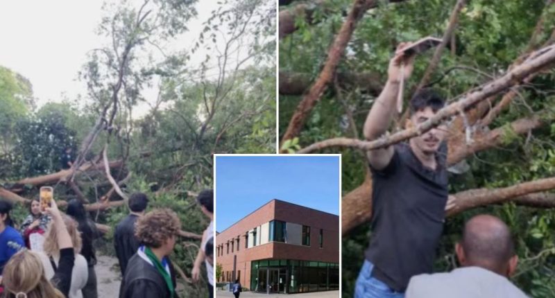Falling tree injures 12 at college graduation ceremony in California