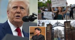 Federal judge temporarily blocks Trump admin from banning Harvard international students