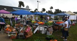 Flagler Beach’s Farmers Market Will Move to South 2nd Street by City Hall After Losing Wickline Park