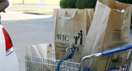 Food Stamp Fraud: USDA Fed’s Multi-Million-Dollar Scheme