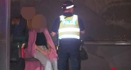 A woman has lost her licence over the alleged road rage crash captured on dhscam. She's pictured speaking to police at the scene