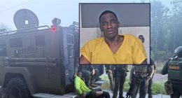 Georgia murder suspect flees into Alabama and tries to hijack tractor trailer, prompting manhunt: Deputies