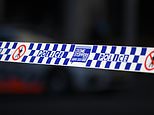 Grandmother arrested after two kids, aged 8 and 10, found dead at a Coonabarabran home