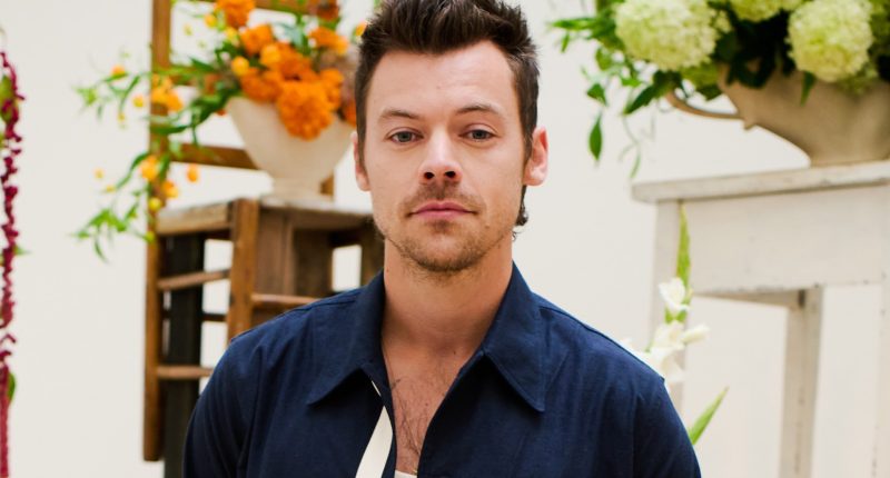 Harry Styles’ eye-watering weekly wages revealed after smash hit album and stadium tour