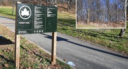 Hero dad rescues 11-year-old daughter from perv who dragged her into a remote area of NYC Park: cops