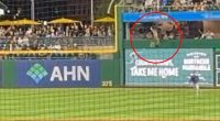 The fan fell over the wall in right field at the Pirates game on Wednesday night