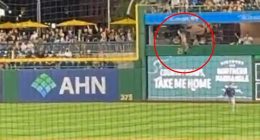 The fan fell over the wall in right field at the Pirates game on Wednesday night