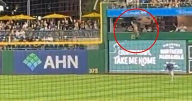 The fan fell over the wall in right field at the Pirates game on Wednesday night