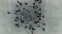 How Groupthink Creates Intolerance