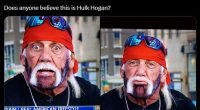 Hulk Hogan's horrifying new look on Fox News sparks viewers' concern